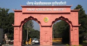 Punjab Agricultural University 2023 Admission, Exam Date, Syllabus